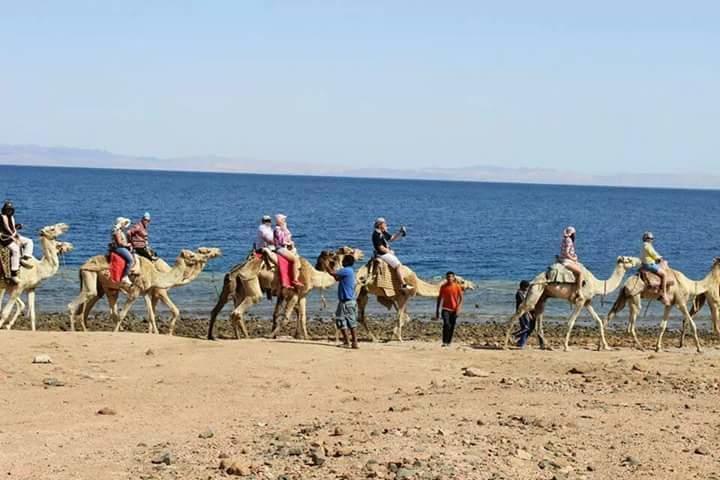 Sea Soul Hotel Dahab Exterior foto