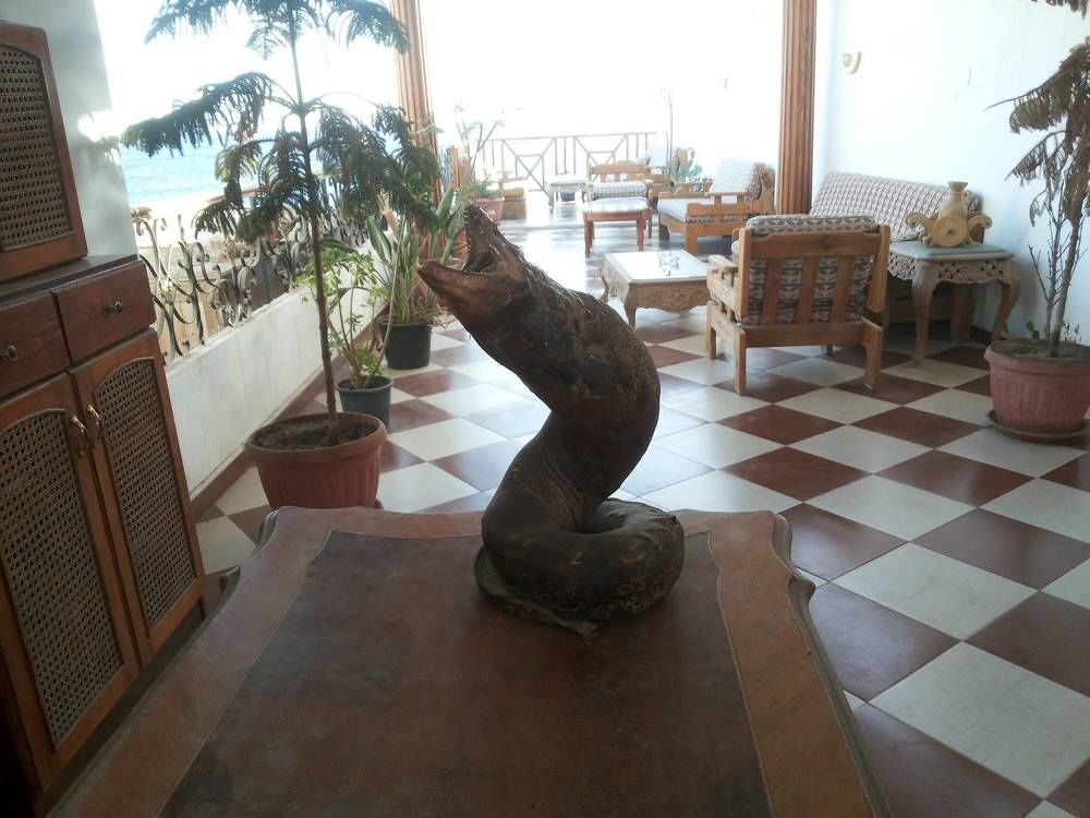 Sea Soul Hotel Dahab Exterior foto
